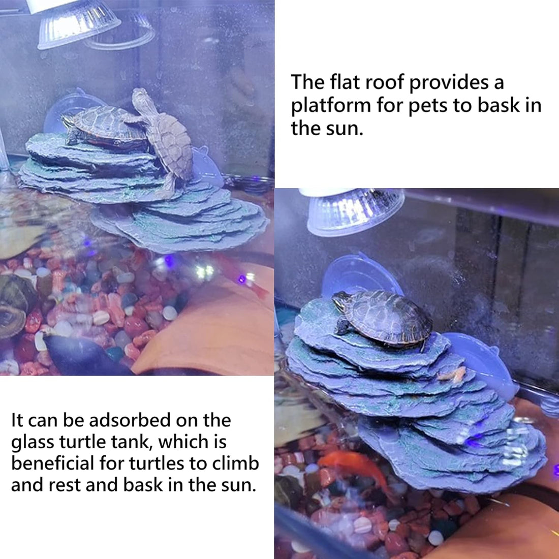 kathson Turtle Basking Platform,Tortoise Dock Floating Resting