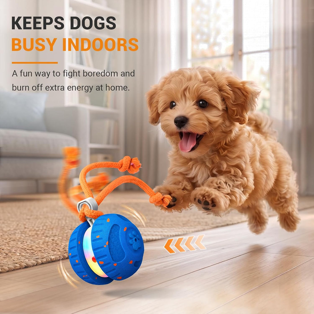 Pamlulu Interactive Dog Toy for Small & Medium Dogs
