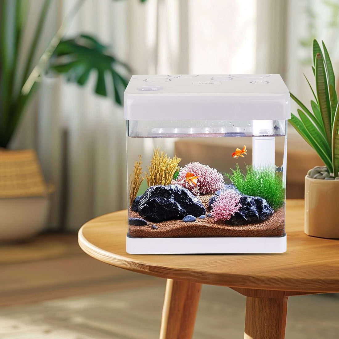 Pronetcus Betta Fish Tank, 2 Gallon Glass Aquarium Starter Kit