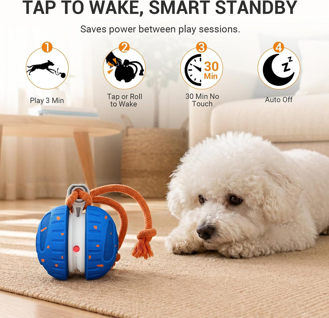 Pamlulu Interactive Dog Toy for Small & Medium Dogs