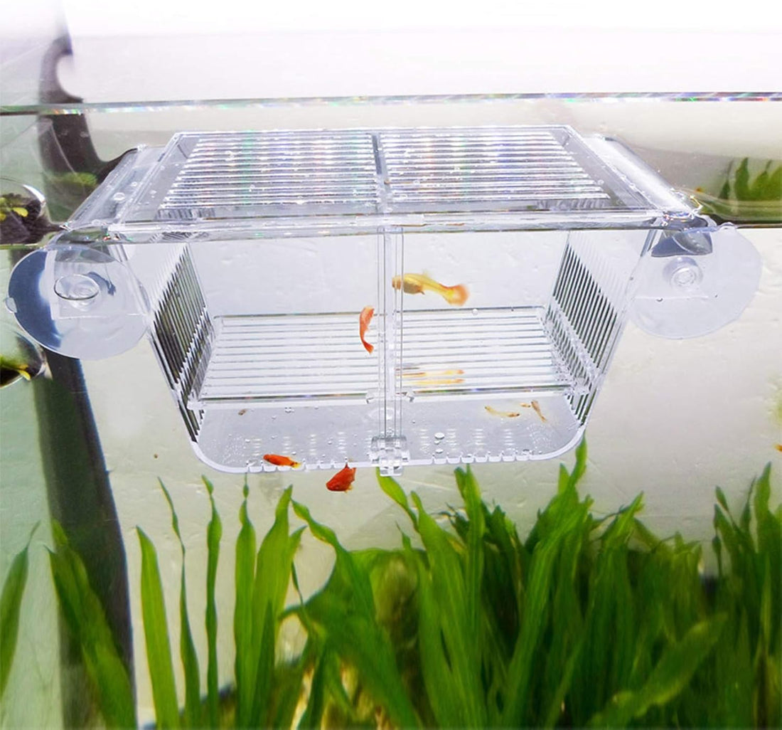 capetsma Fish Breeding Box, Acrylic Fish Isolation Box with Suction