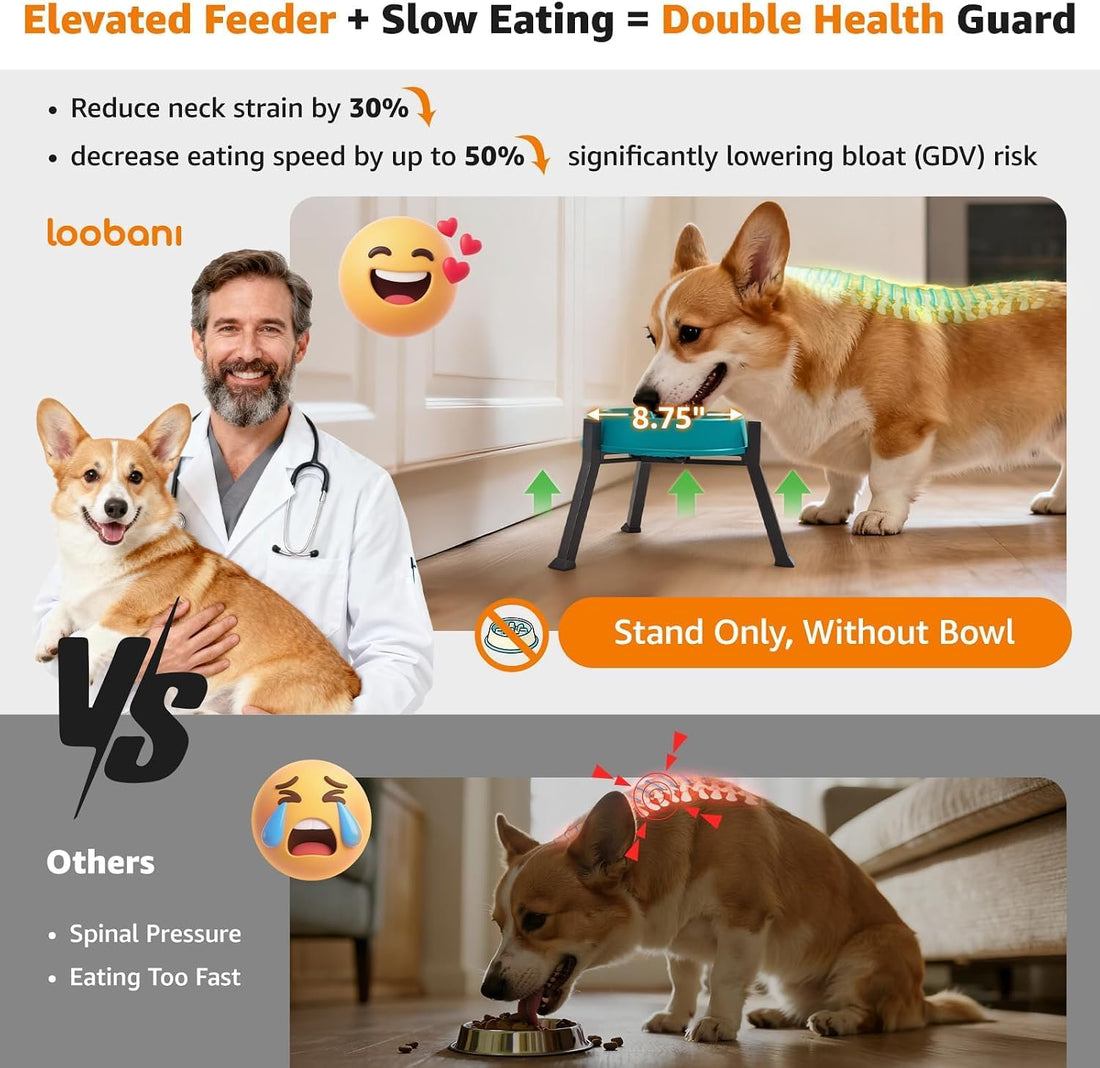 LOOBANI Elevated Dog Bowl Stand Adjustable 5.9"-8.7" Width