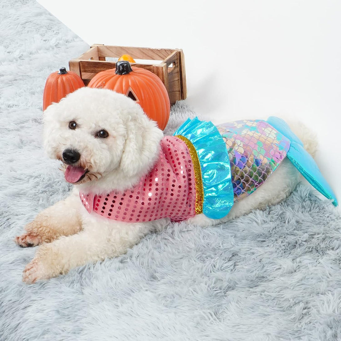 cyeollo Mermaid Dog Halloween Costumes for Small Dogs Holiday Outfit