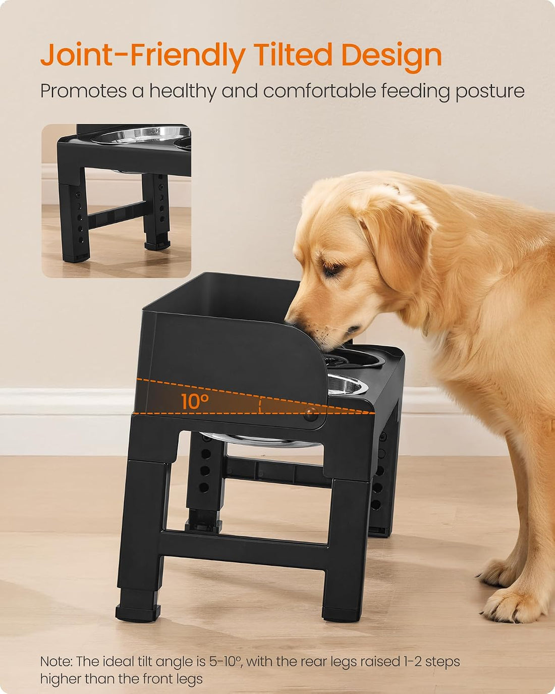 Feandrea Dog Bowls Elevated, Raised Stand with 1 Slow Feeder and Two