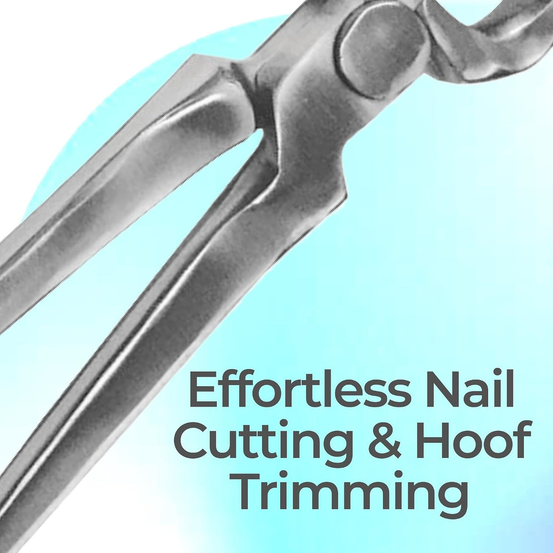 9" Foal Hoof Nippers, Stainless Steel Farrier Tool for Horses