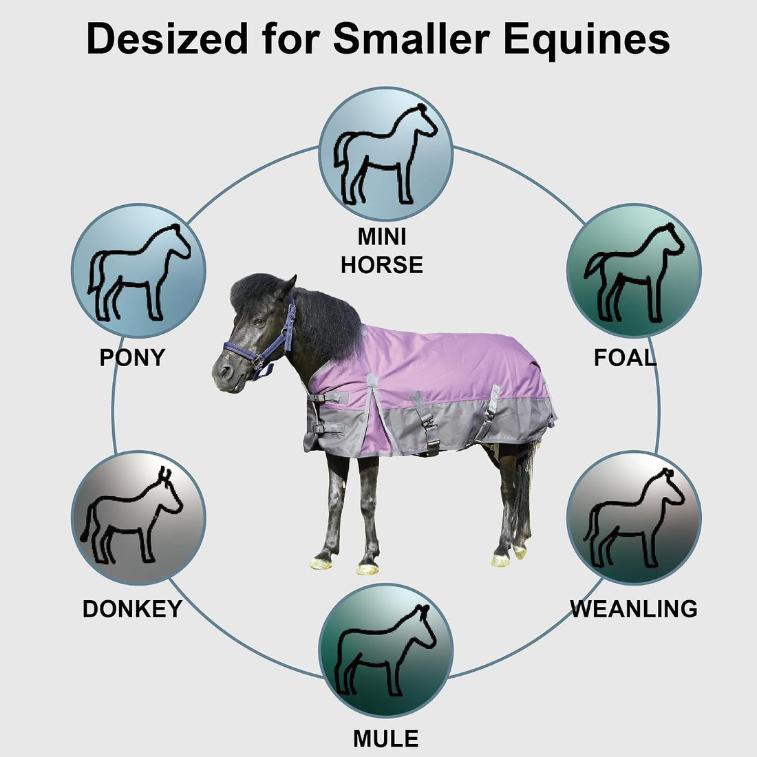 1200D Mini/Pony Horse Blanket, 200g Waterproof Winter Turnout