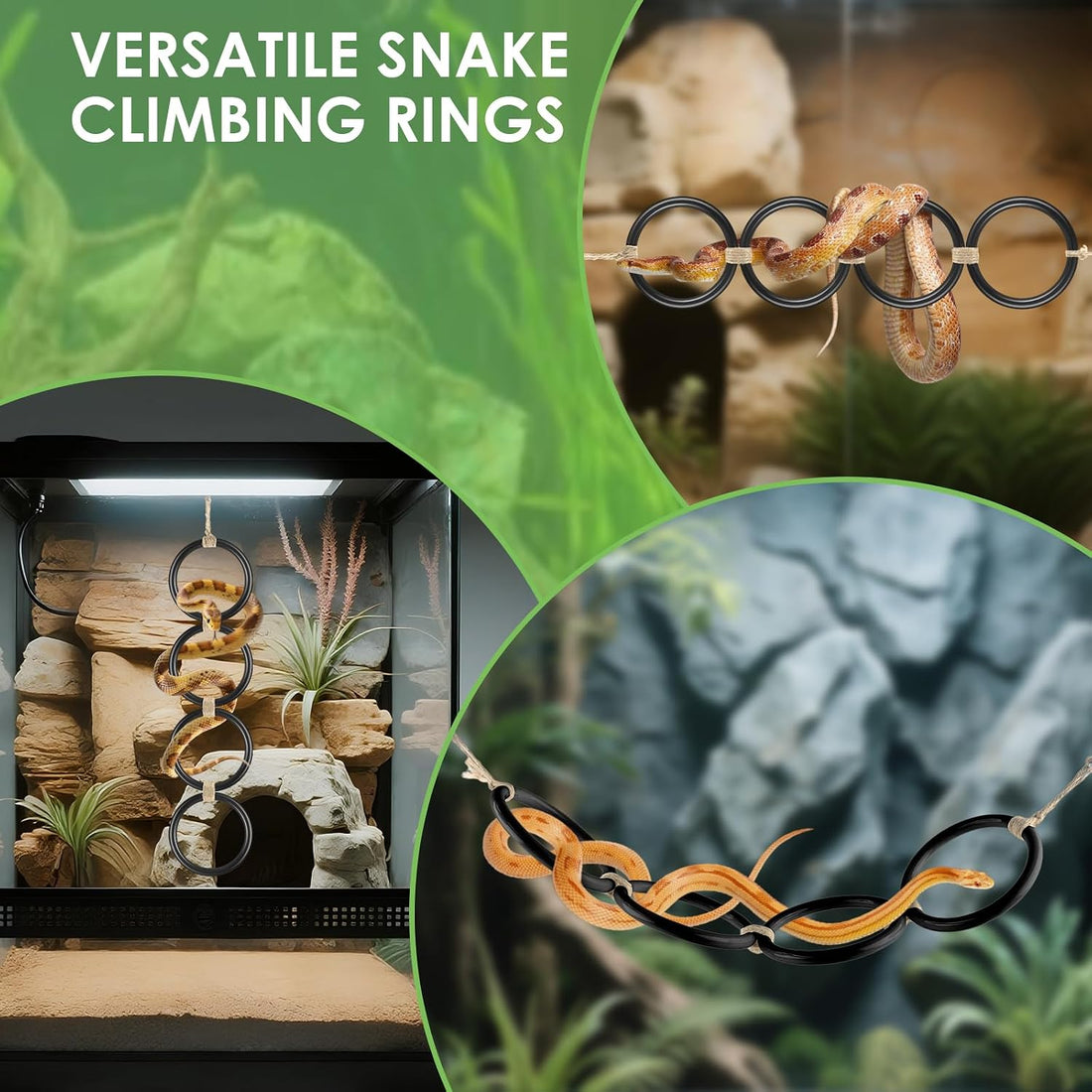 DBNESS Snake Climbing Rings, Ball Python Enclosure Enrichment Ring