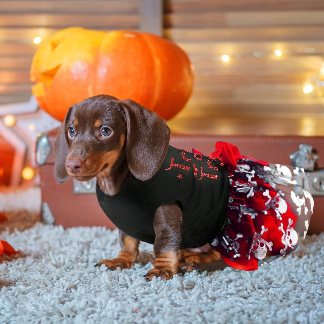 Dog Halloween Costumes, Dog Halloween Dress Skeleton