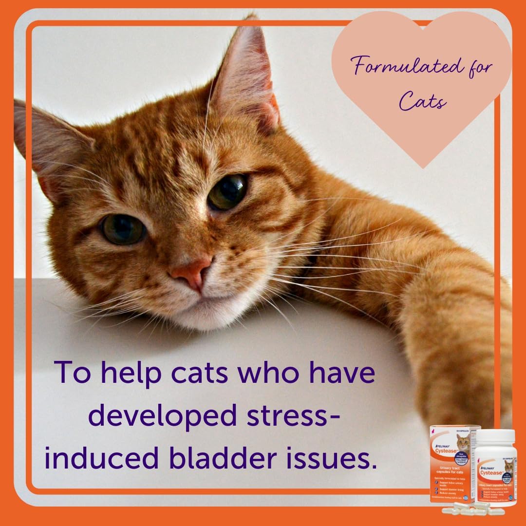 FELIWAY Cystease Advanced Urinary Tract Support for Cats