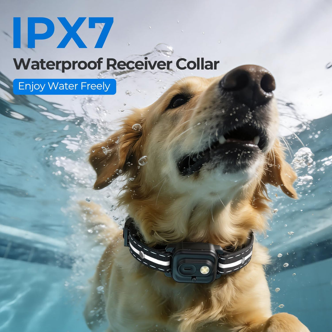 Dog Shock Collar with Remote, 3300FT Range, 2 Receiver Collars