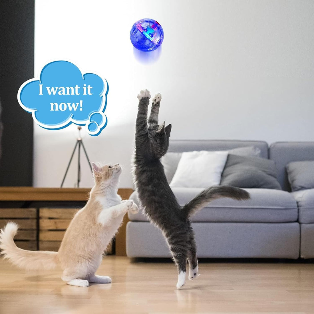 Sratte 6 Pcs Cat Ball Ghost Hunting Light up Toy