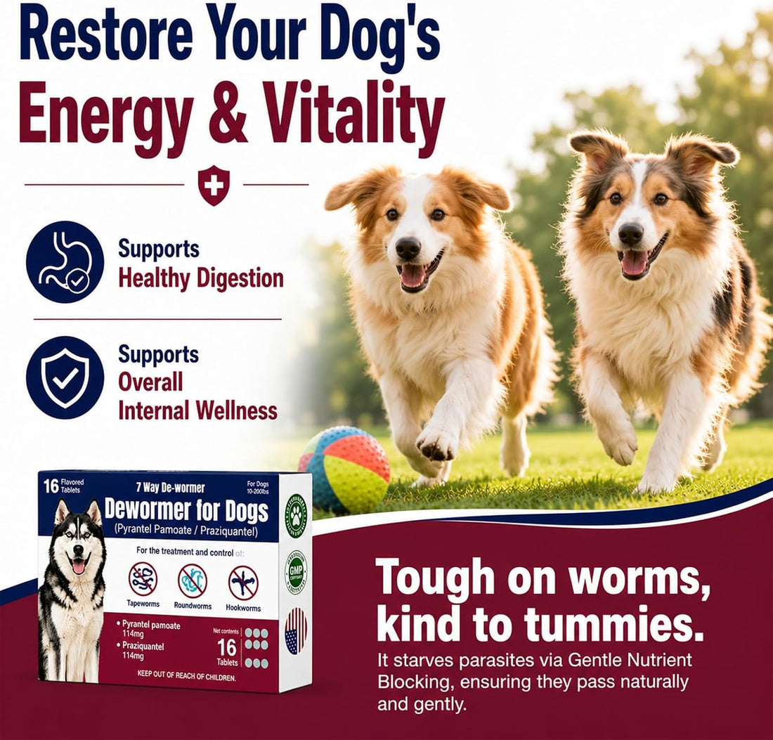 7-Way Dewormer for Dogs, Wormer for Tapeworms