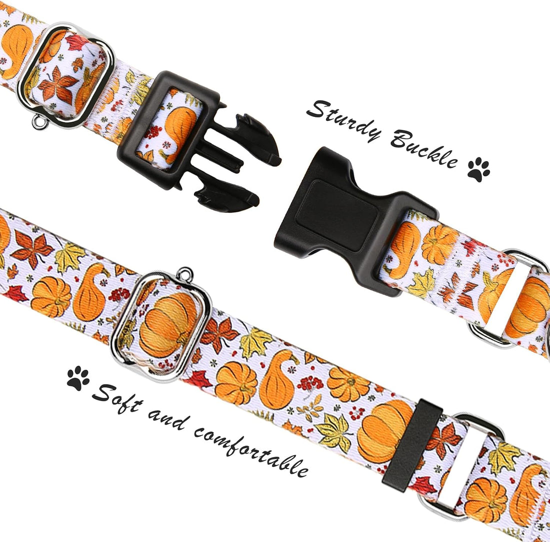 Hikiko Martingale Collar for Dogs with Halloween Pattern,Adjustable,L