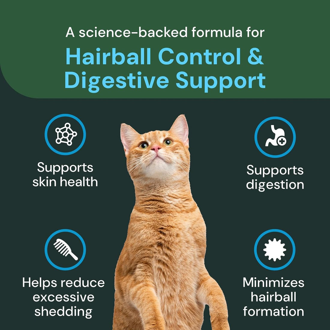 VETRISCIENCE Vet Strength Hairball Control for Cats, 60 Scoops