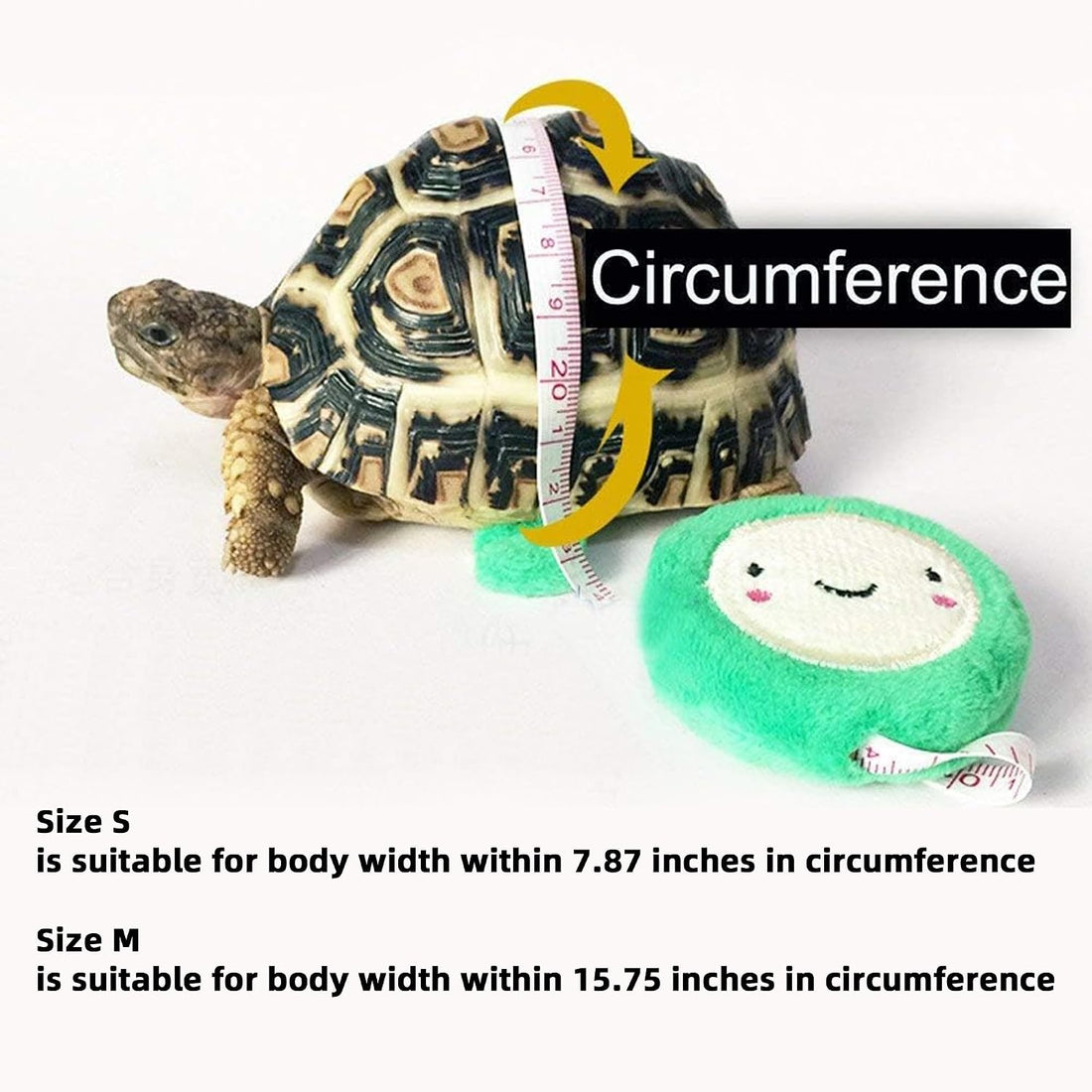 Pet Tortoise Leather Harness & Leash - Small Tortoise Supplies