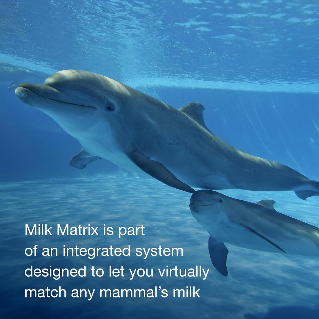 PetAg Milk Matrix 42/25