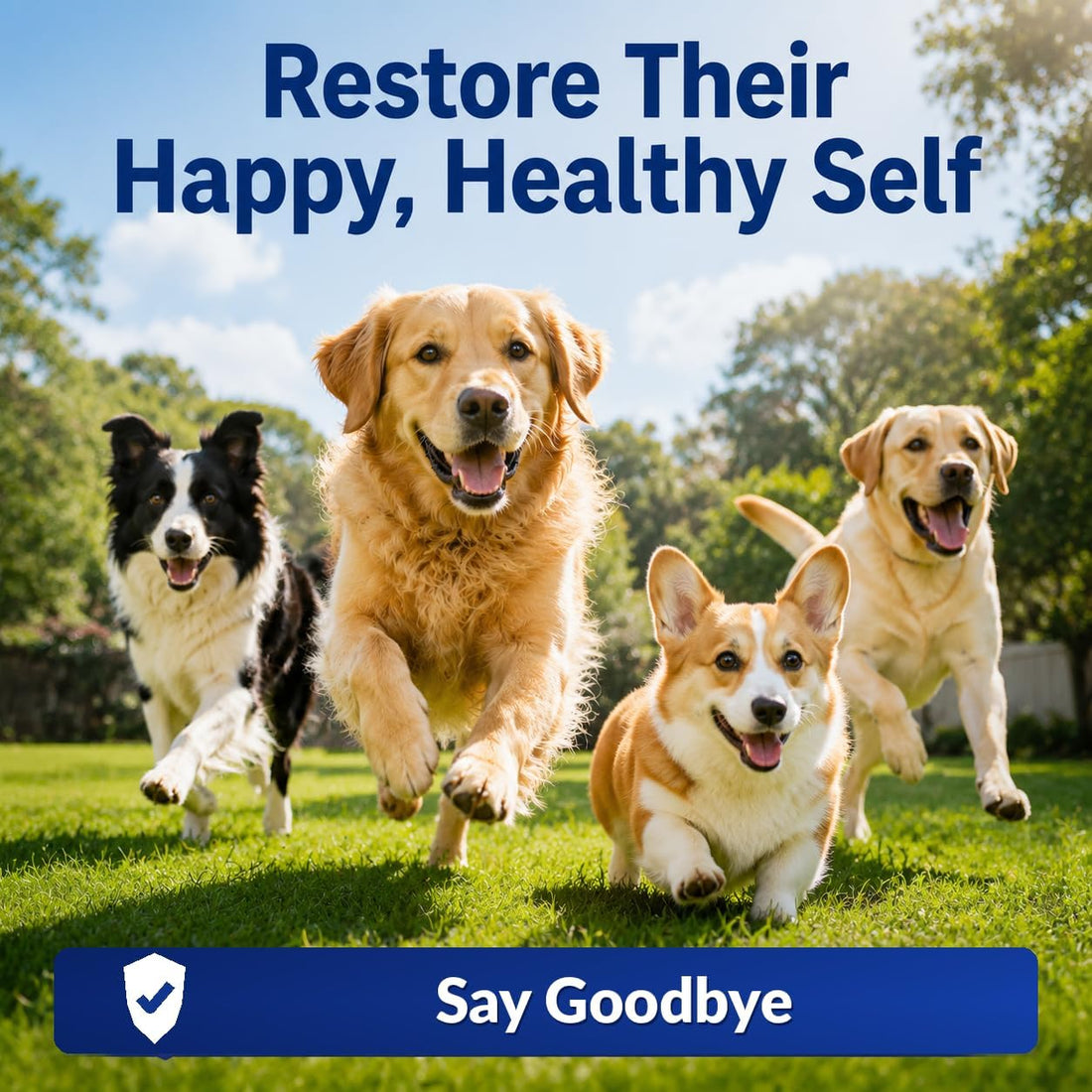 Dewormer for Dogs ,Triple De-wormer Tablet for Small
