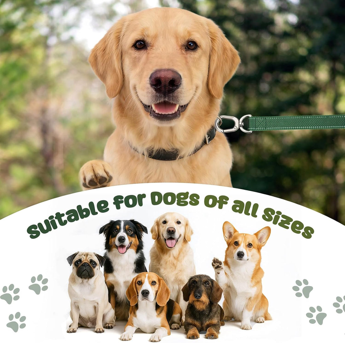 Heavy Duty Dog Leash with Easy Lock Metal Clip, Reflective