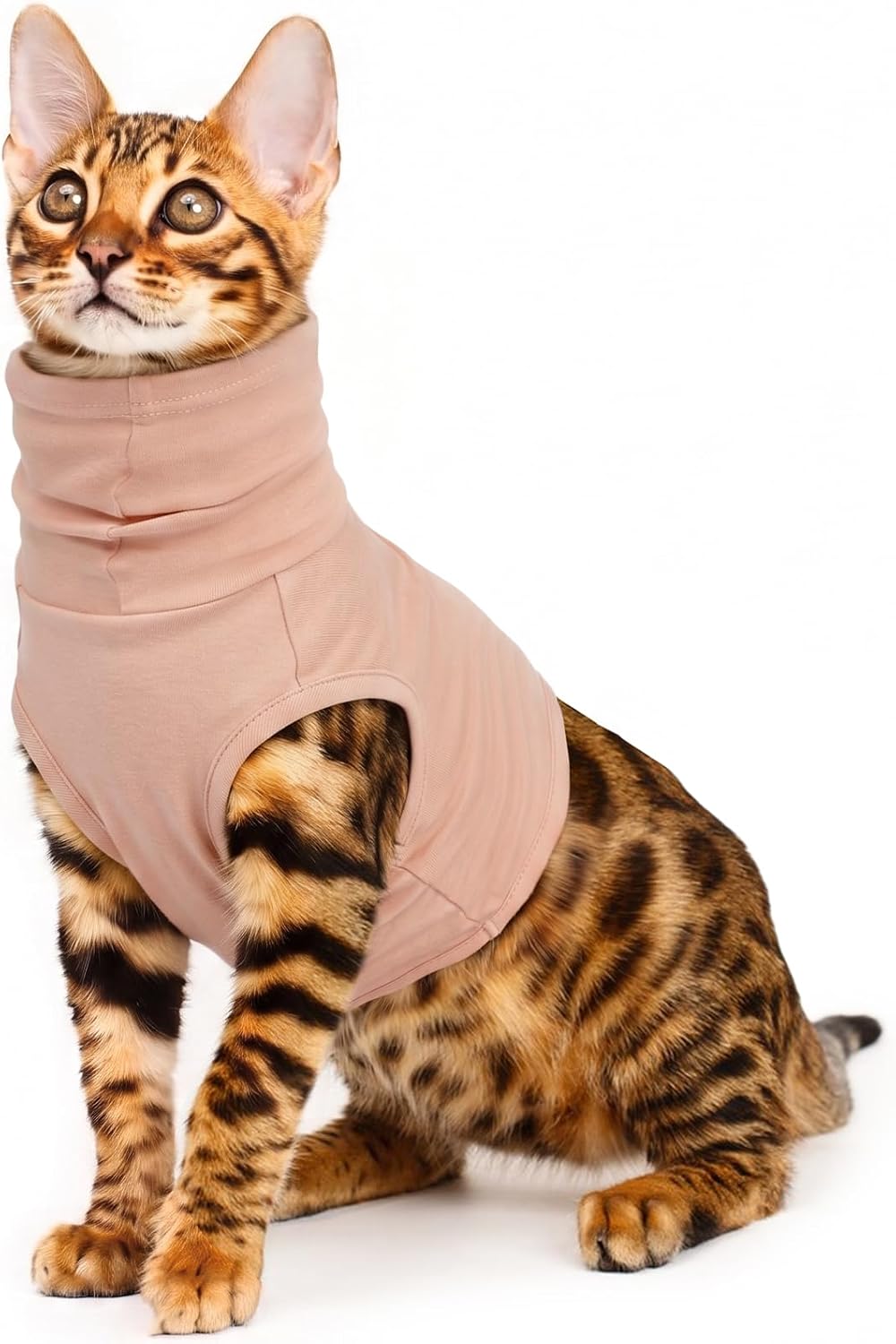 ROZKITCH Cat Neck Protector, Cat Surgery Recovery Suit