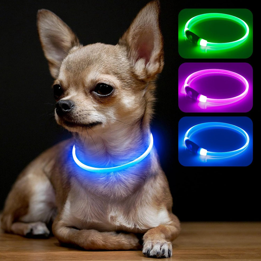 BSEEN Light Up Dog Collar (Green 70cm)