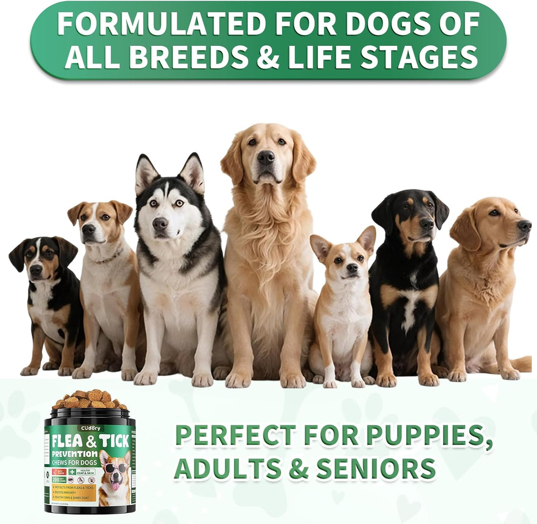 Cudory Flea and Tick Prevention for Dogs Chewables, 200 Soft Chews