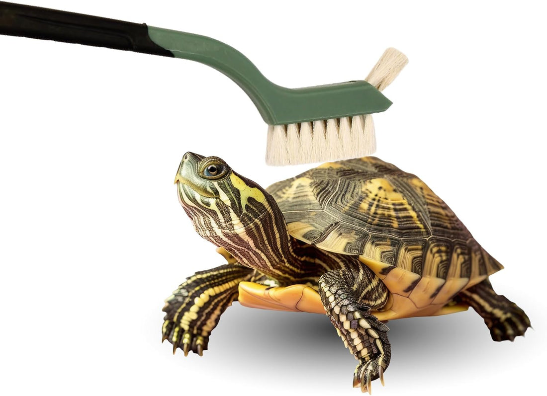 Turtle Cleaning Brush Remove Aquatic Mud, Dirt