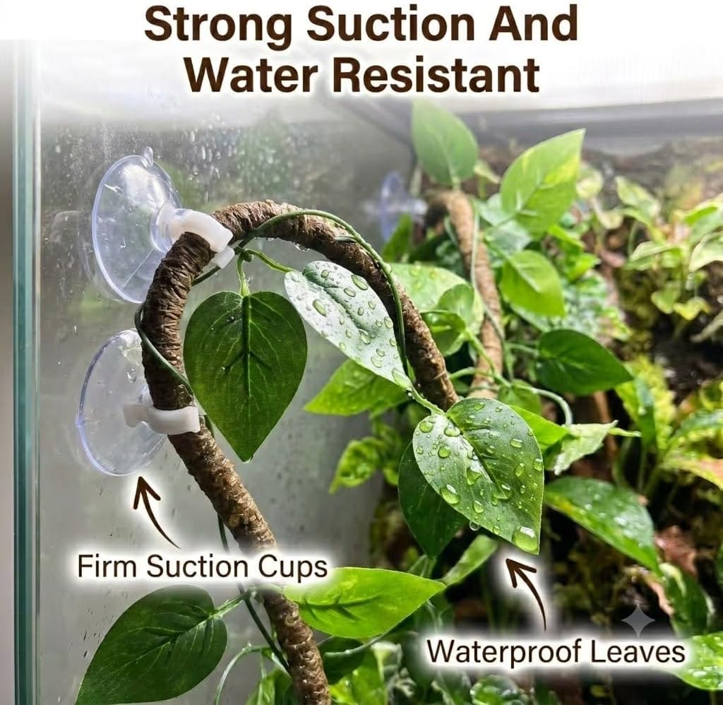 Reptile Plants for Terrarium, Bearded Dragon Tank Accessories