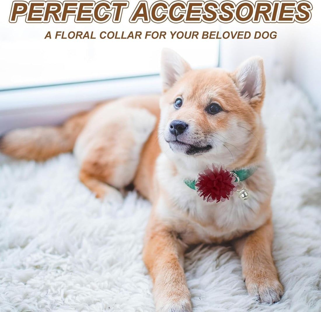Dog Collar Flowers, Pet Flower Charms Soft Chiffon Cat Collar
