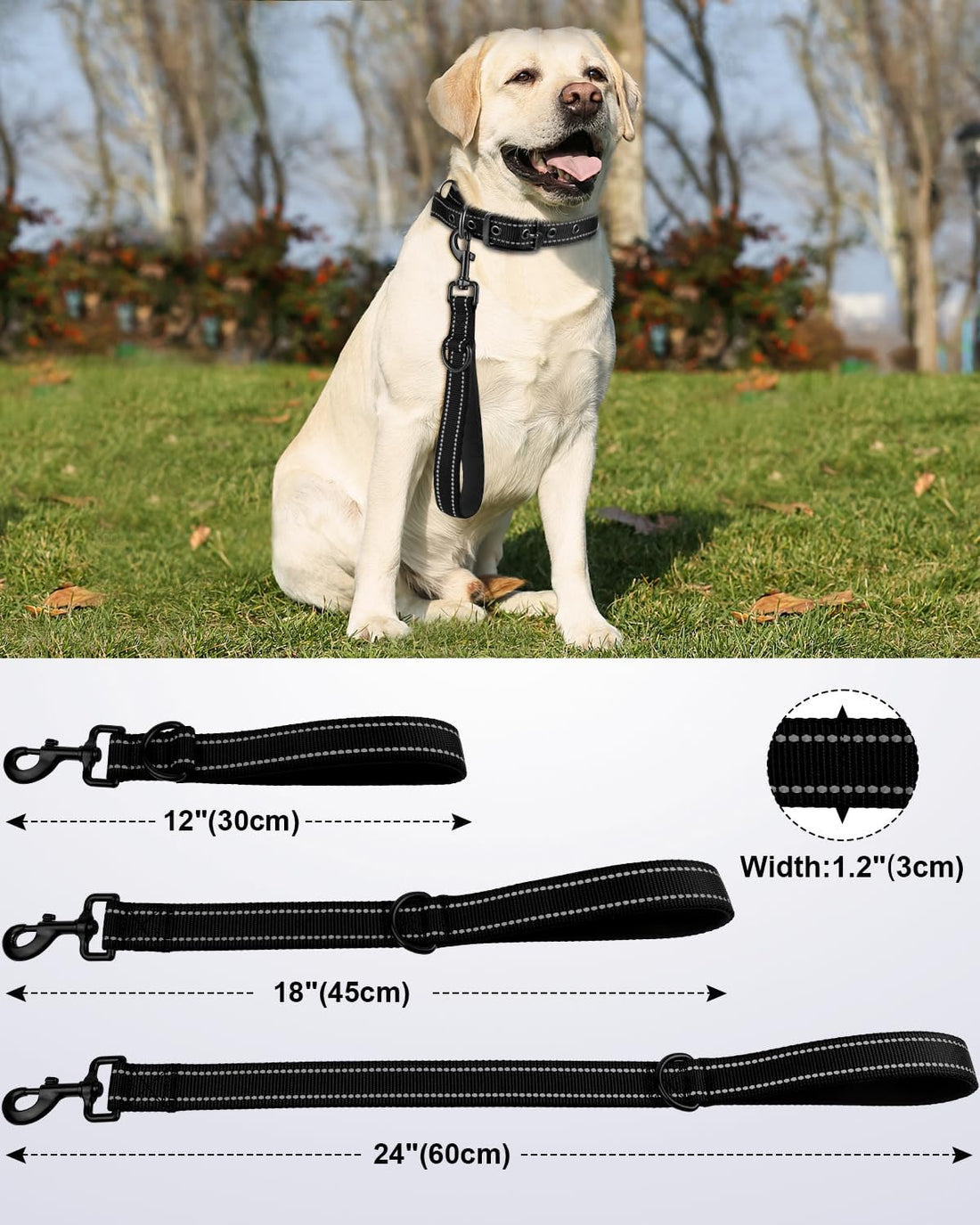 Joytale Strong Short Dog Leash 18 Inch, 1.2 Inch Wide, Heavy Duty