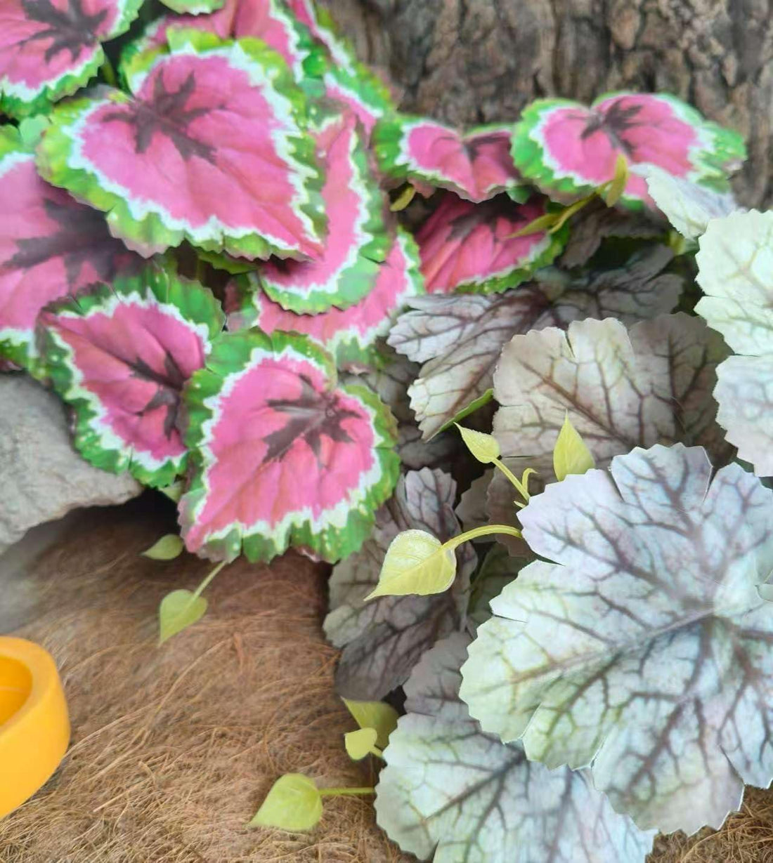 Fake Reptile Plants for Terrarium,Crested Gecko Tank Accessories