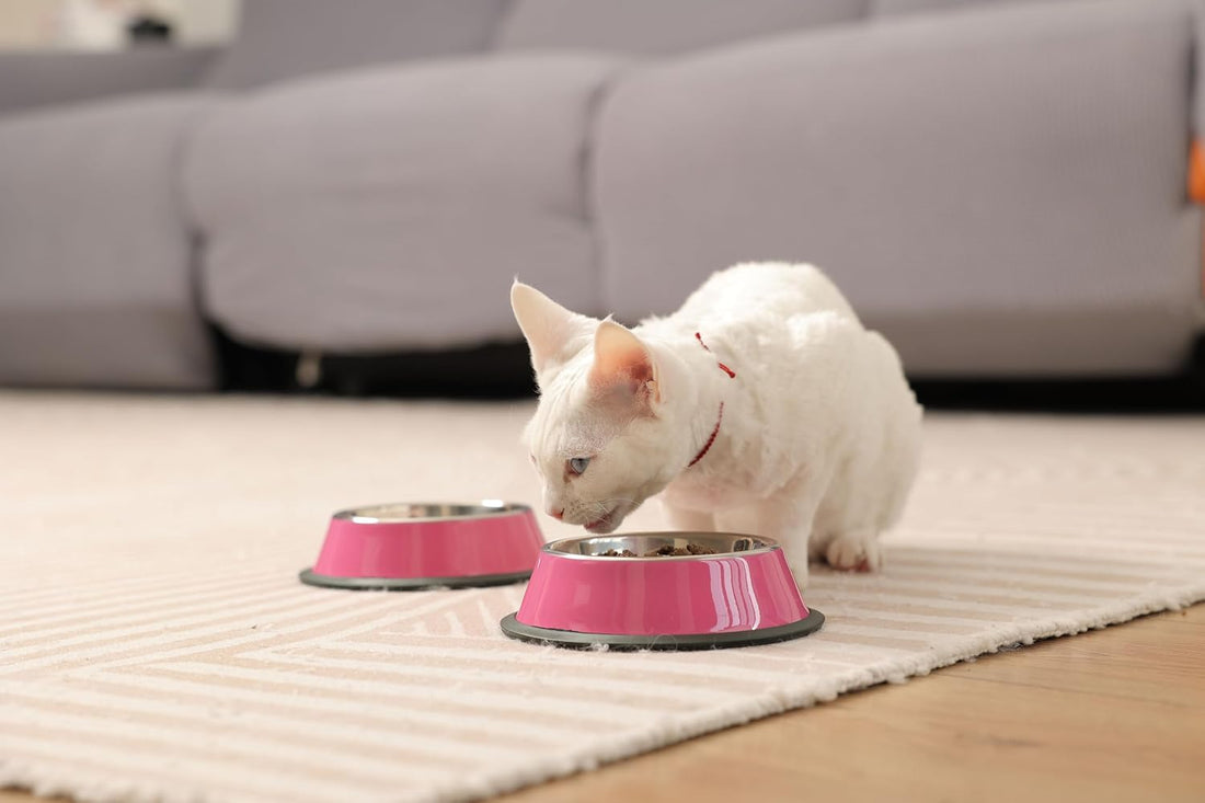 Podinor Stainless Steel Dog Bowls