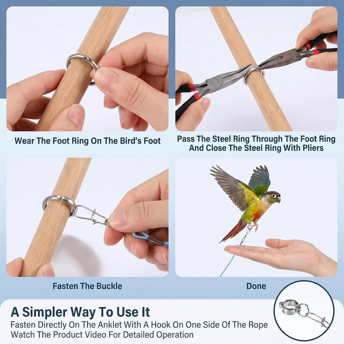 Bird Leash with 5 Different Size Foot Ring Parrot Flying Harness