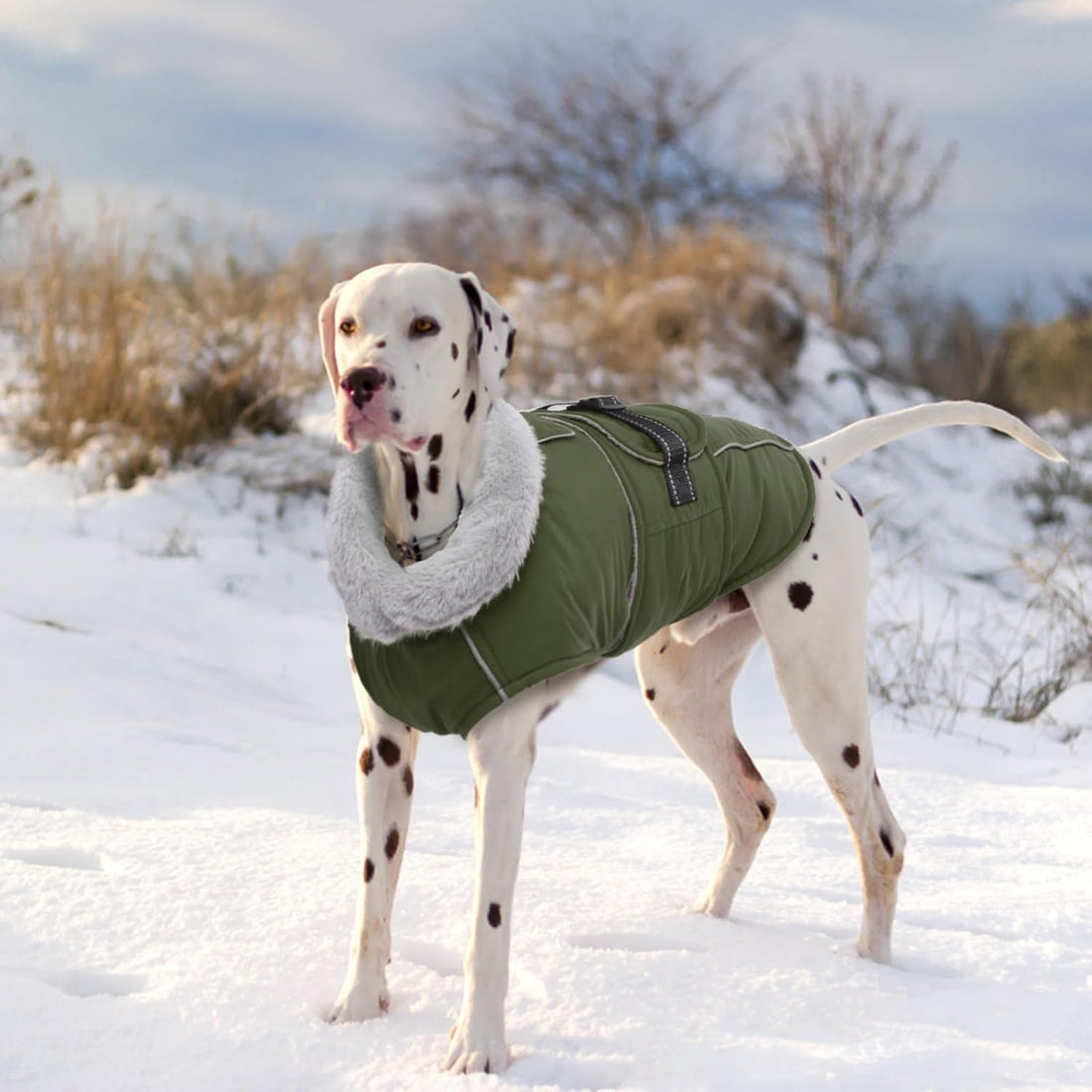 Lelepet Warm Dog Coat Waterproof Dog Jacket for Large Dogs Reflective