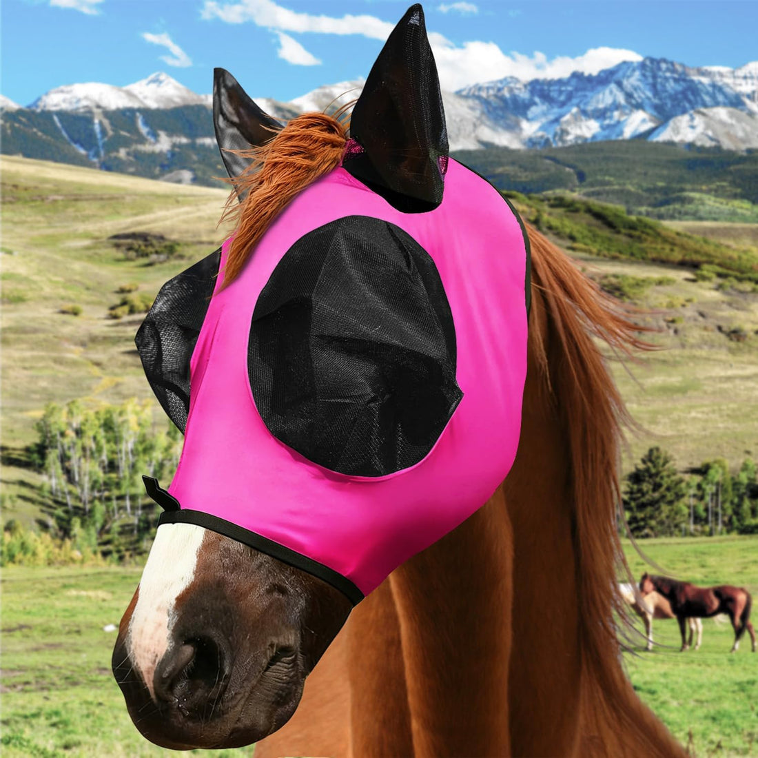 Horse Fly Mask with Forelock Opening Stretch