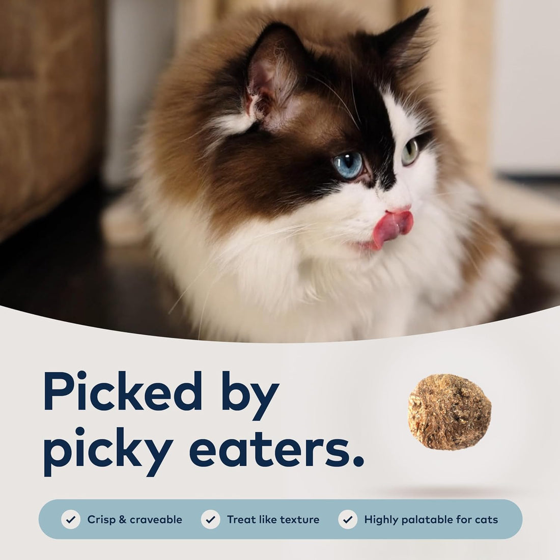 ZIWI Peak Steam & Dried Cat Food, Beef with Southern Blue Whiting