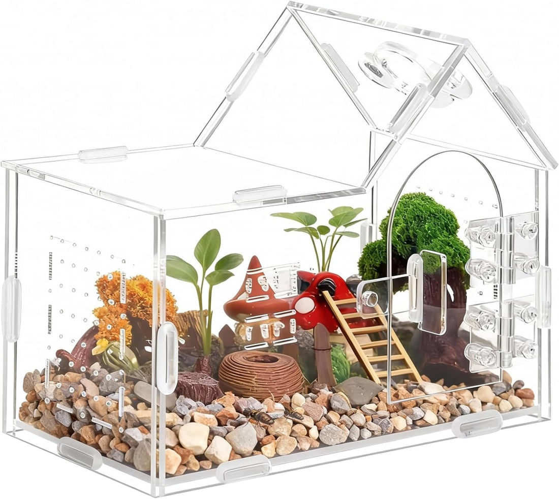 Acrylic Jumping Spider Enclosure, House-Shaped Clear Insect Terrarium