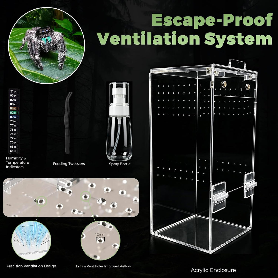 Jumping Spider Enclosure 4" x 4" x 8" Acrylic Habitat Kit