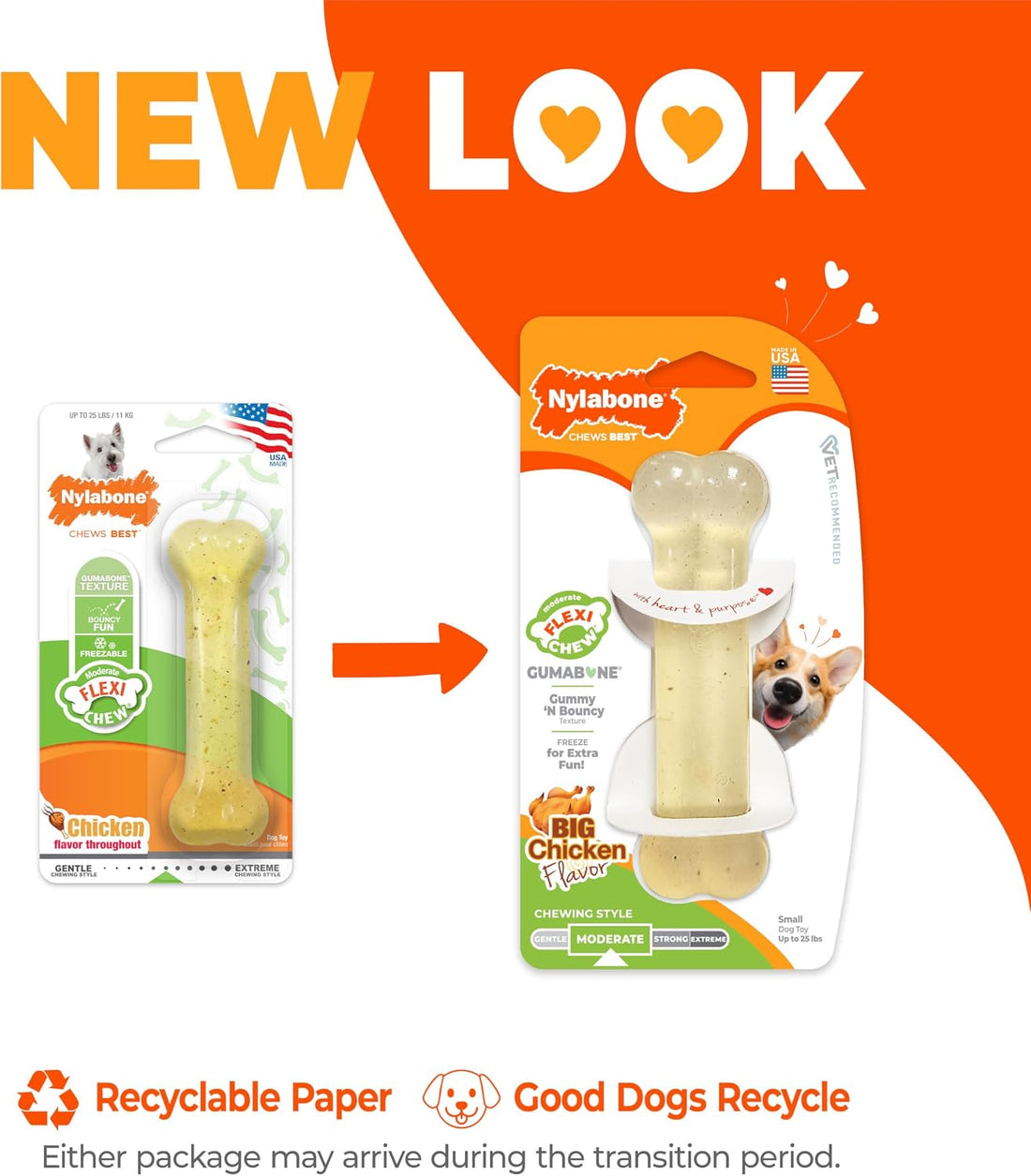 Nylabone Flexi Chew Gumabone Dog Chew Toy, Chicken Flavor