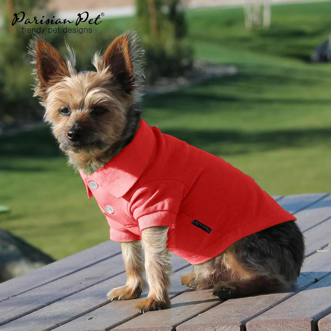 Parisian Pet Dog Polo Shirt – Classic Red Cotton Pet Apparel