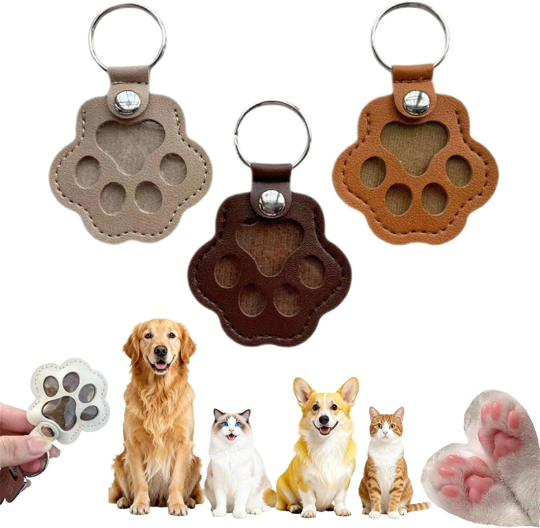 3 Pcs Paw Print Pet Hair & Keepsake Memorial Keychain