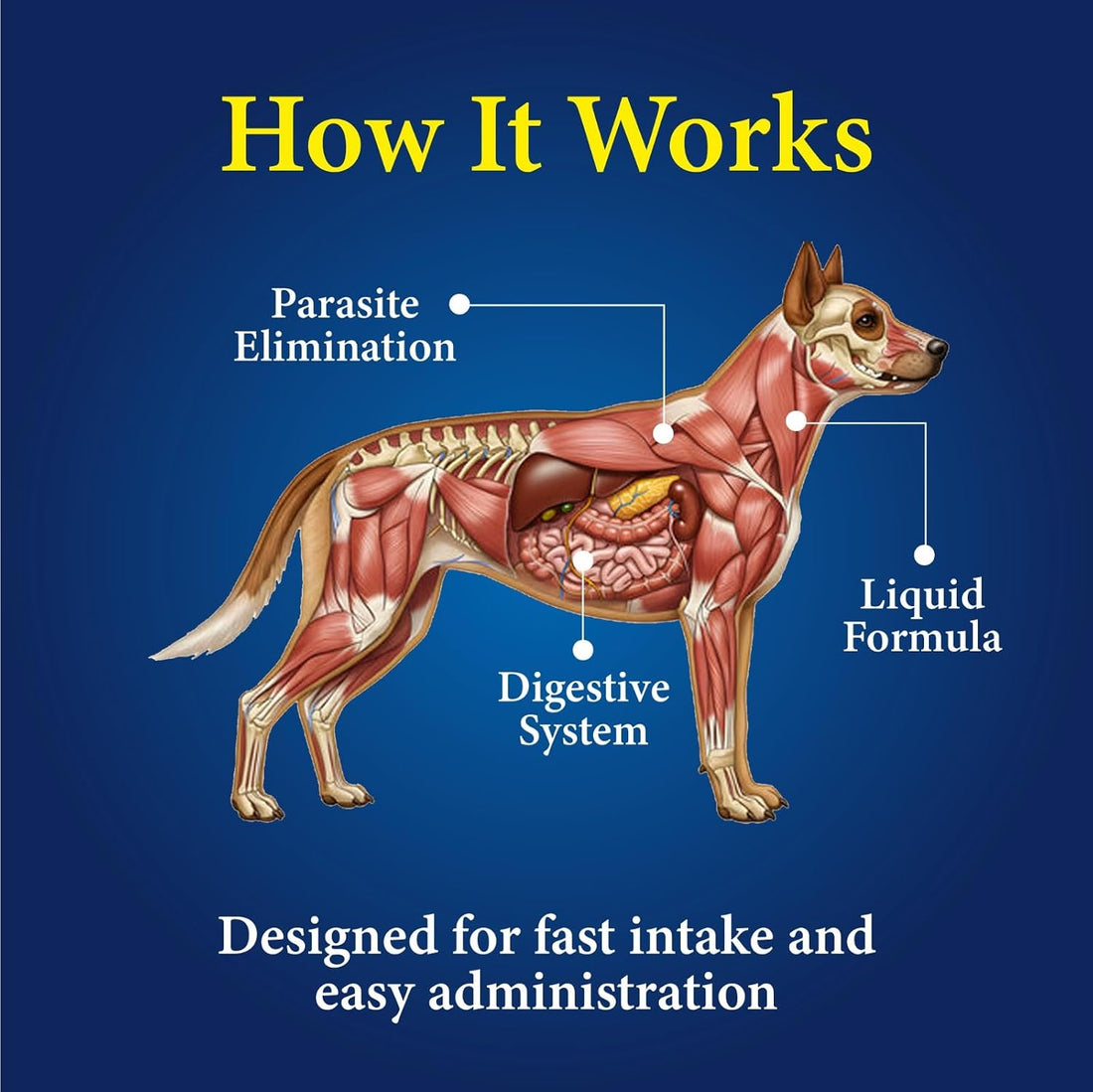 Broad Spectrum Dog Dewormer Treatment 120ml