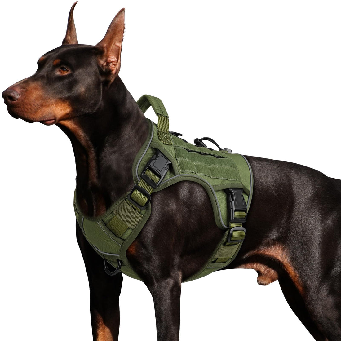 WINGOIN Tactical Dog Harness for Large Dogs