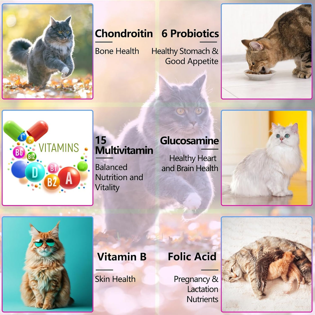 Cat Multivitamin,15 in 1 Cat Vitamins Liquid Drops Supplements