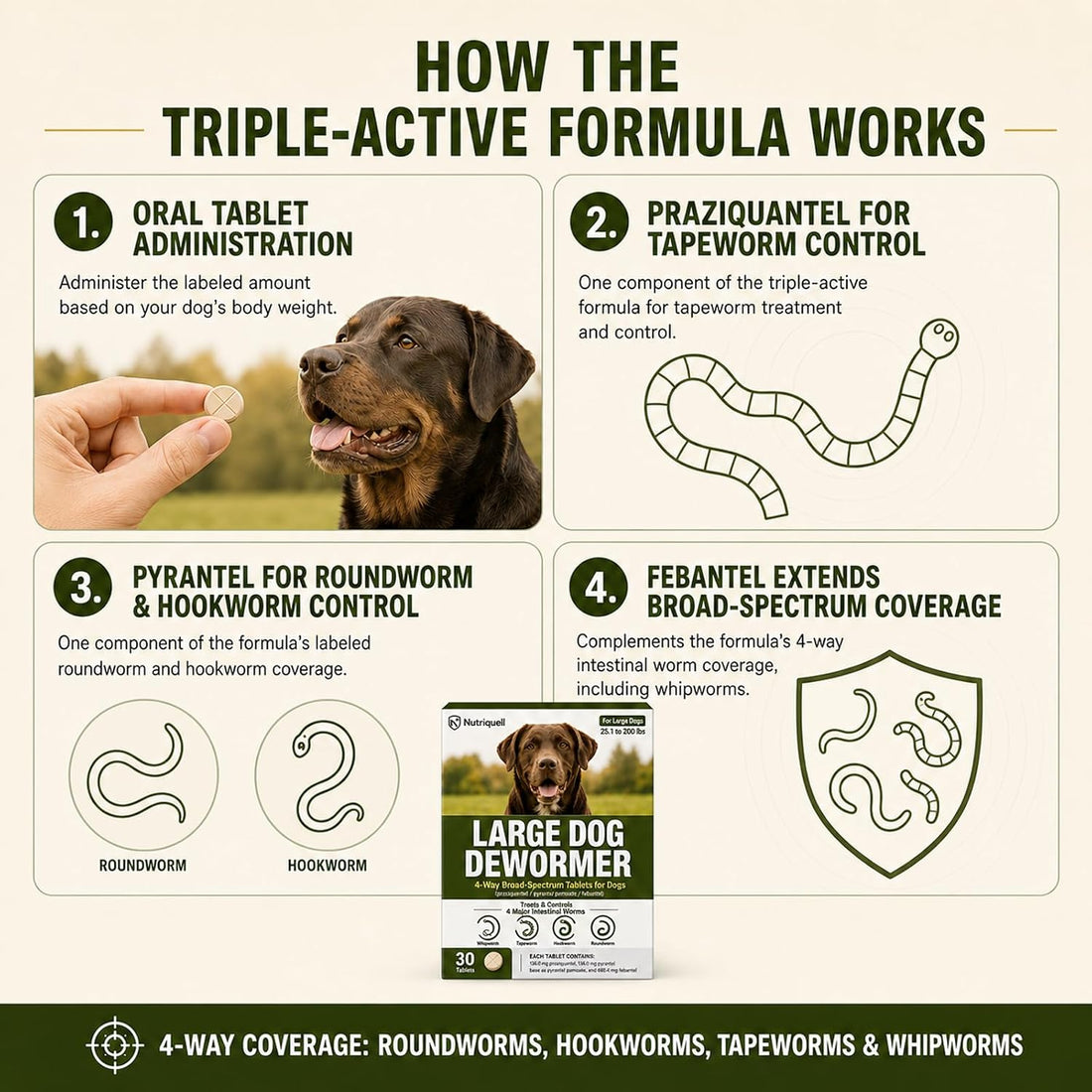 Dewormer for Dogs, Medium and Large Dog Dewormer, 4-Way Tablets
