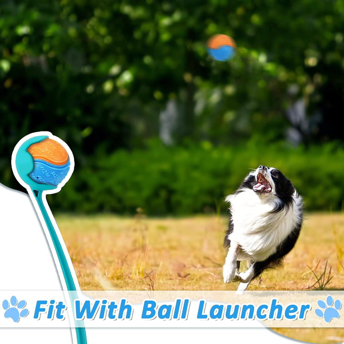 6Pcs Squeaky Dog Balls, Dog Toys Balls for Training