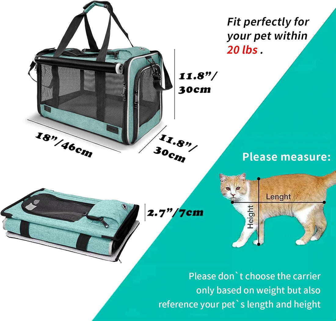GAPZER Small Dog Carrier Yorkshire Puppy Softshell Chihuahua