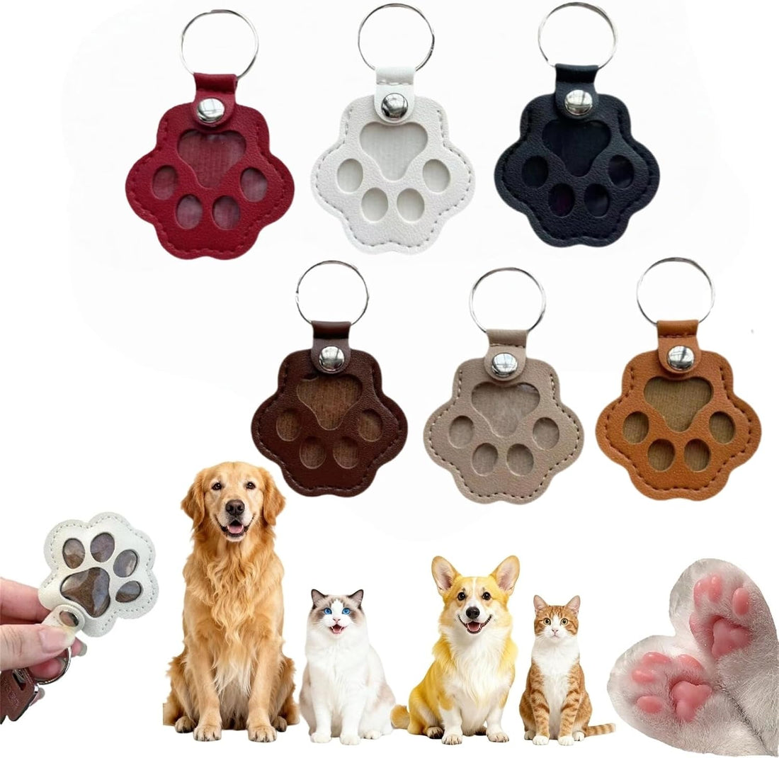 3 Pcs Paw Print Pet Hair & Keepsake Memorial Keychain