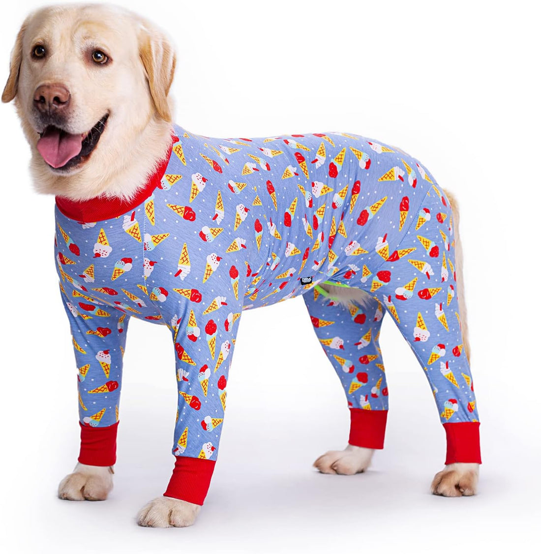 Dog Surgery Recovery Suit Female Male for Dogs After Surgery Medium