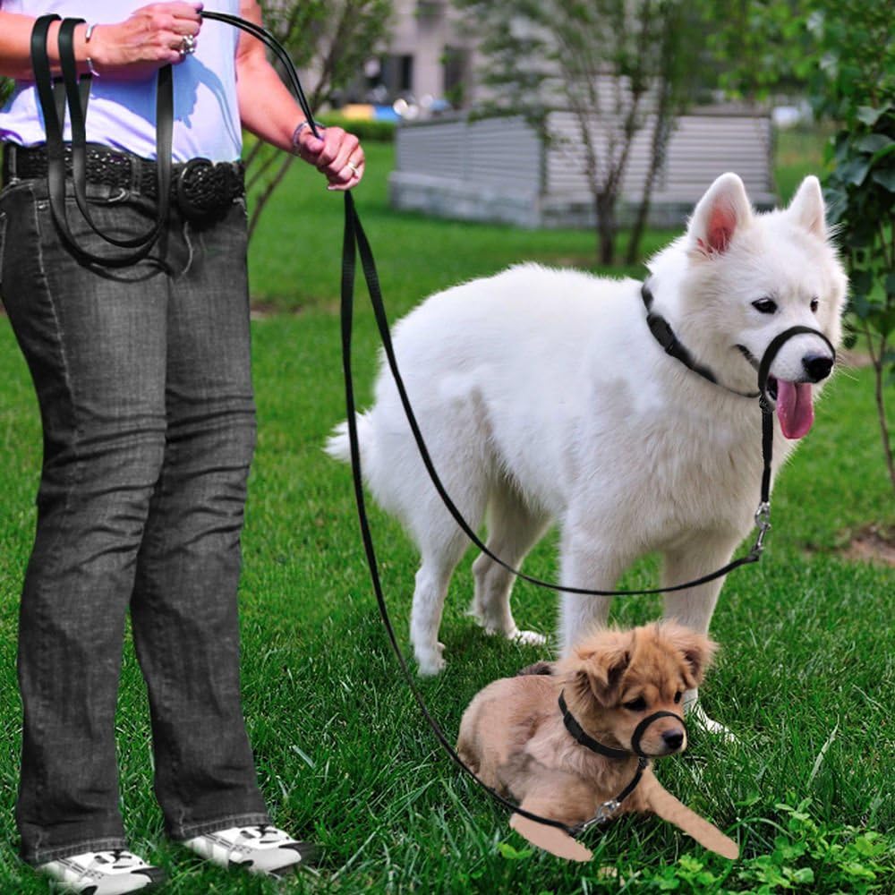 BARKELSS Gentle Dog Head Collar, Adjustable Padded Dog Halter
