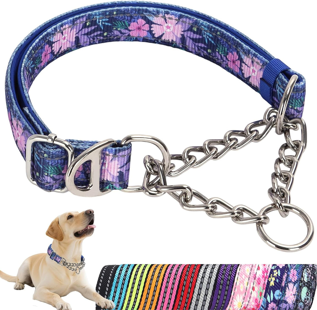 Martingale Collar for Dogs with Chain,Heavy Duty Dog Collar